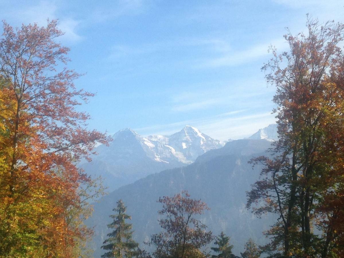 App. Seeblick Top Of Interlaken Beatenberg Ngoại thất bức ảnh