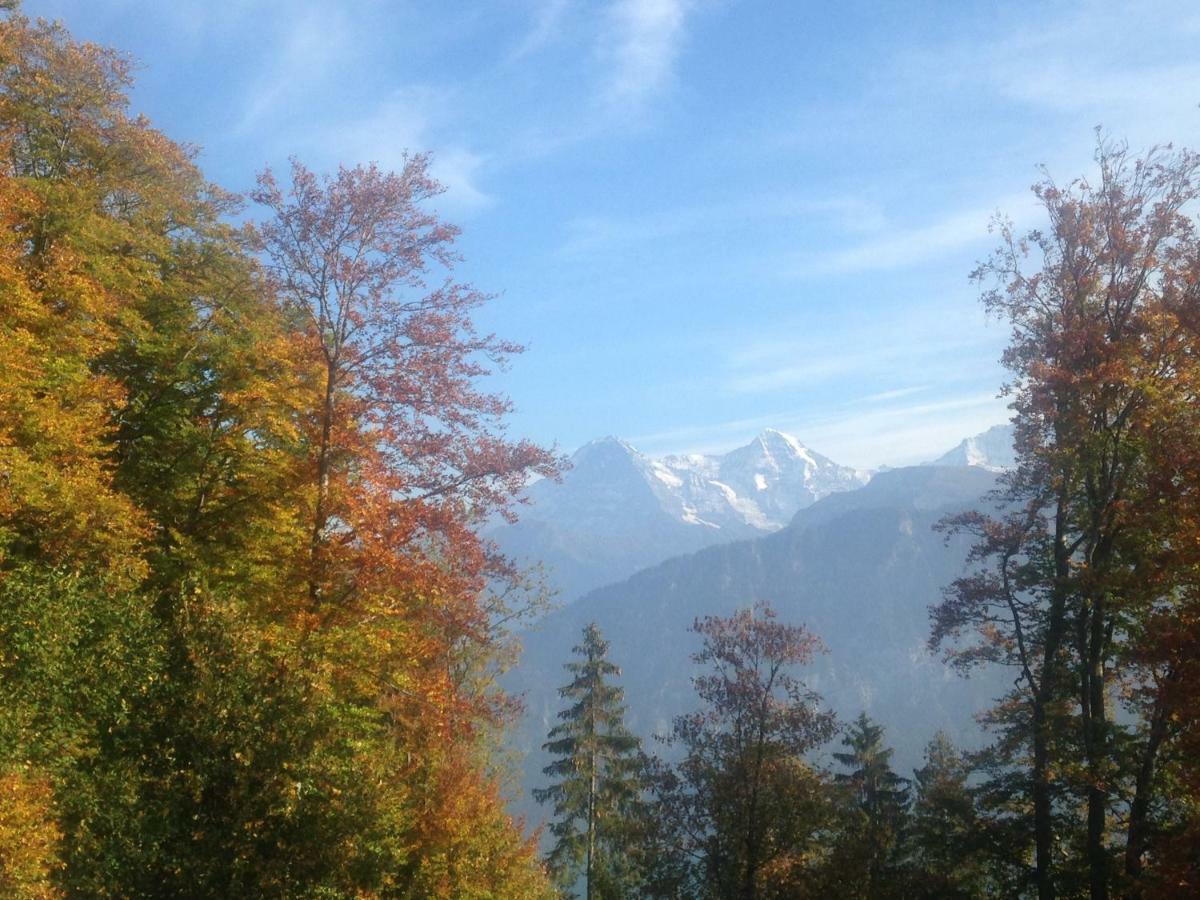 App. Seeblick Top Of Interlaken Beatenberg Ngoại thất bức ảnh