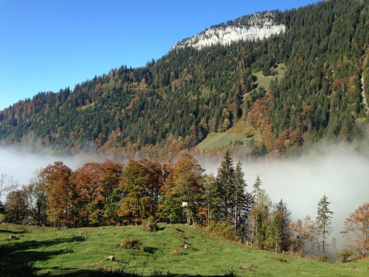 App. Seeblick Top Of Interlaken Beatenberg Ngoại thất bức ảnh